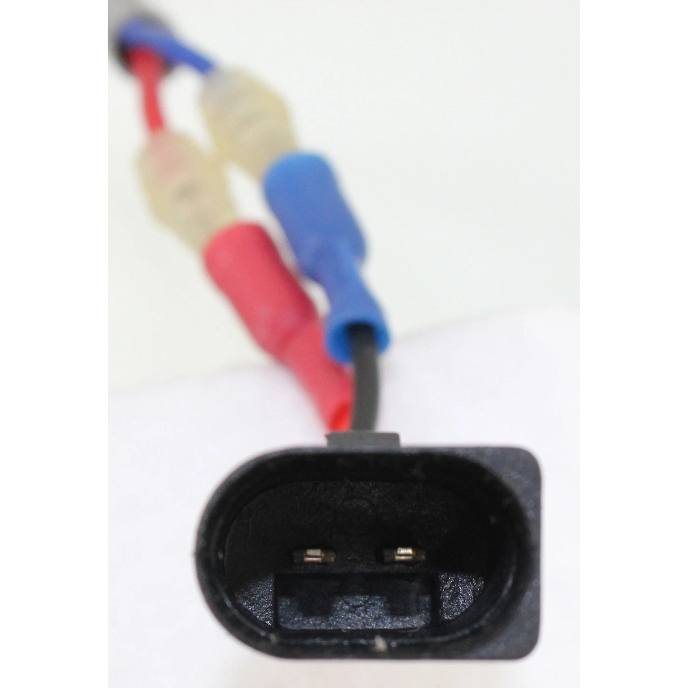 Window Regulator for Ford Focus (2000–2007) Right Side