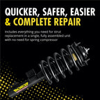 Suspension Strut and Coil Spring Assembly for