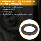 Front Crankshaft Oil Seal for Chevrolet S10, GMC S15 (No. 8970491450)