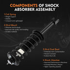 2X Rear Complete Struts Shocks & Springs for Honda Accord (2008–2012)