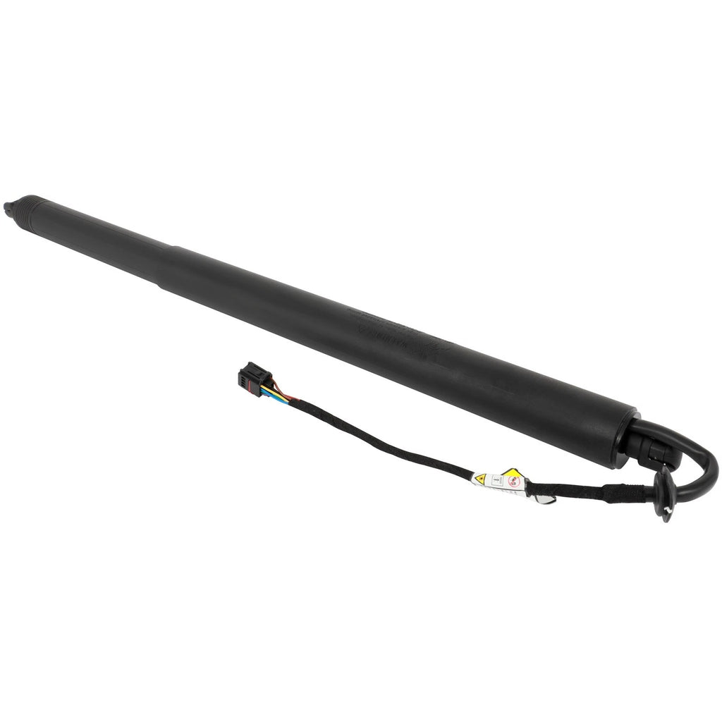 Rear Liftgate Lift Support Strut for Range Rover Velar (2017–2022)