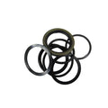 Hydraulic Cylinder Seal Kit for Massey Ferguson 232 (837625M91)