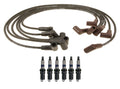 Set of 6 Ignition Wires & ACDelco Rapidfire Spark Plugs for Chevy 3.8 (VIN K)