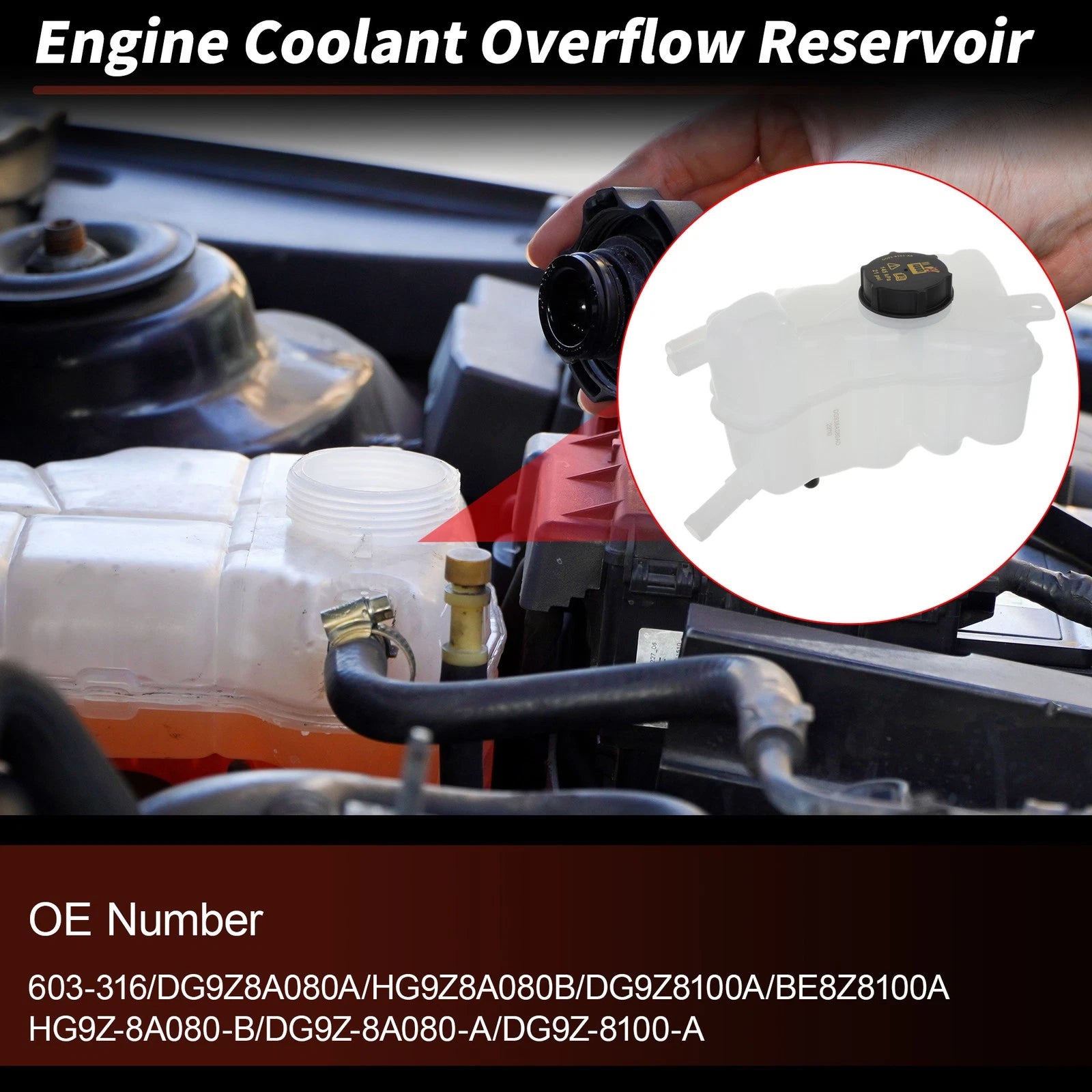 Coolant Expansion Reservoir Tank w/Cap for Ford Fusion (2013–2020) No.DG9Z8A080A