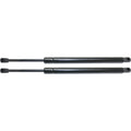 Set of 2 Tailgate Lift Supports for Driver & Passenger Side