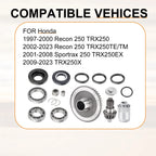 Rear Differential Ring Pinion Gear Bearing Seal Kit for Honda TRX250 (2001–2009)