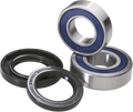 Wheel Bearing Kit for Yamaha Raptor (2006–2018) 25-1508