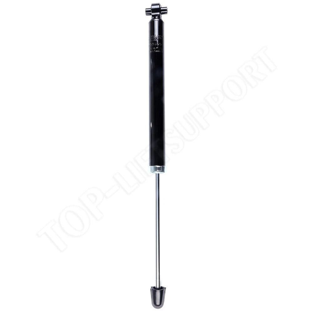 Rear Shocks & Struts for Chevrolet Sonic (2012–2020)