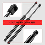 2Pcs Rear Hatch Lift Supports for Nissan Xterra (2005-2015)