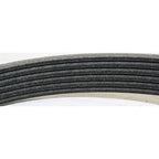 Drive Belt for Chevy Pickup, Mercedes J Series, C Class, 4 Runner, Ford Ranger