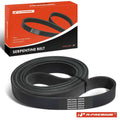 Serpentine Belt for Ford E-350 Econoline Club Wagon (1998)