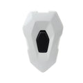Tail Rear Seat Cover Fairing Cowl for BMW S1000R M1000R (2022–2024)