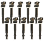 Set of 10 Ignition Coils with Spark Plug Connector for BMW E60 E63 E64 M5 M6