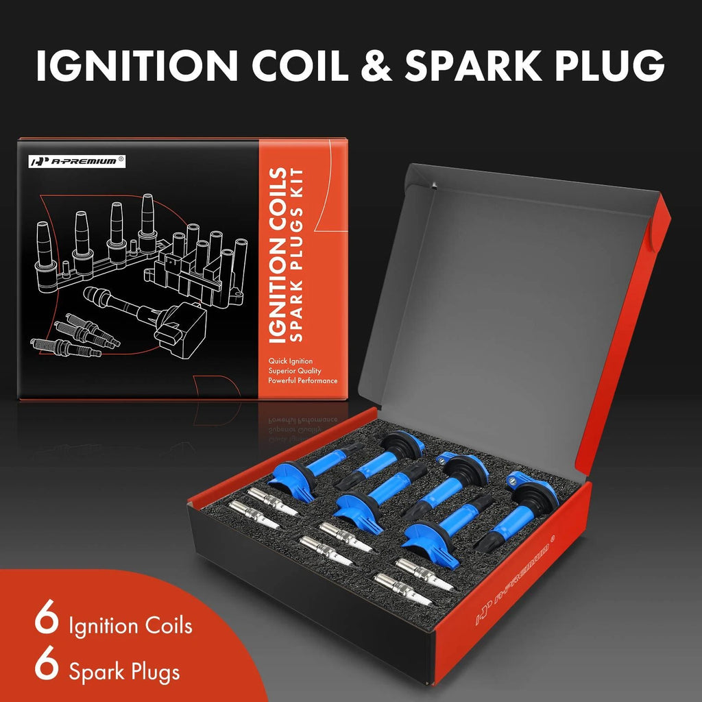 6X Ignition Coil & Iridium Platinum Spark Plug for Ford F-150 (2011–2016)