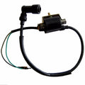 Coil Ignition for Dirt Pit Bike Quad Buggy ATV 125cc (TDR, Pitpro, Atomik, DHZ, Orion)