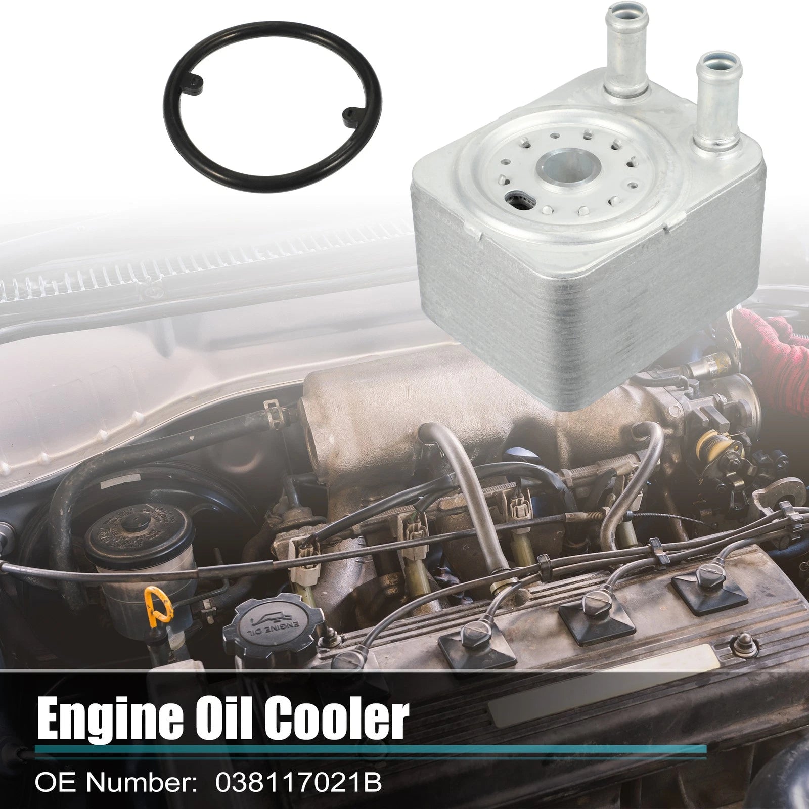 Engine Oil Cooler Housing with Gasket for Volkswagen (038117021B)