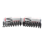 Front Coil Spring Kit for Ford (2015–2021) 4127507