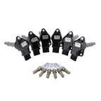 Set of 6 Ignition Coils & 6 Spark Plugs for Mercedes-Benz V6