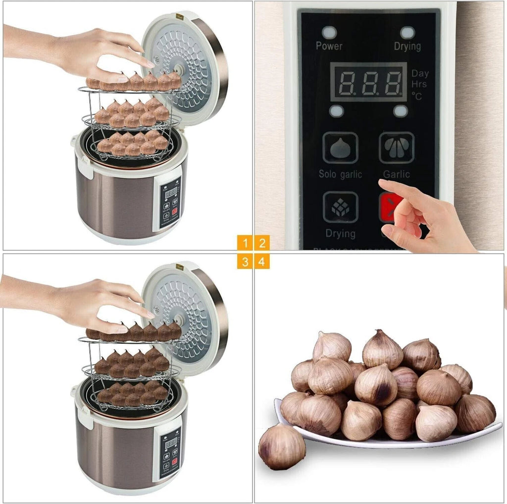 90W Black Garlic Fermenter with Automatic Temperature Control