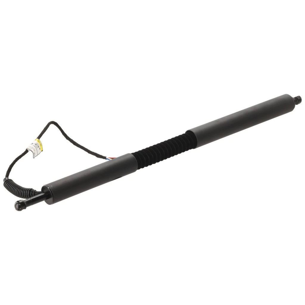 Liftgate Lift Supports for BMW 330i GT xDrive 340i