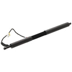 Liftgate Lift Supports for BMW 330i GT xDrive 340i