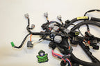 Main Wire Harness for Yamaha FZR FZS (2011–2012) 6AN-8259L-10-00