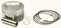 Piston Kit Armorglide 80.00/Std 11:1 for