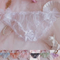 Set of 4 Lace Bikini Briefs for Women - Sheer Mesh, Various Colors