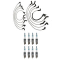 Denso 8mm Wire Set & 8 IridiumPower Spark Plugs for Ford Lincoln Mercury
