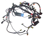 Evinrude Etec Engine Wiring Harness Assy 0587009 for 115-130HP (2009–2012)