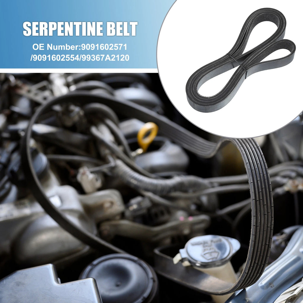 Serpentine V-Ribbed Belt No. 9091602571 for Toyota Tacoma V6 (2005–2015)