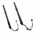 2X Rear Tailgate Power Hatch Lifts for Hyundai Santa Fe (81771B8100)