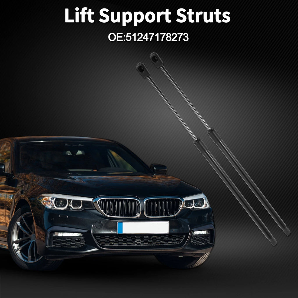 Tailgate Lift Supports Struts No. 51247178273 for BMW 5 Series E61 (2006–2010)