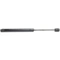 Lift Support for Buick LaCrosse (2005–2009) Trunk Lid