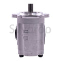Hydraulic Pump for Toyota Forklift 5FGC25 (67110-33040-71, 67110-33041-71)