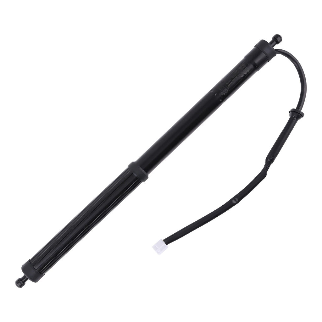 2X Rear Tailgate Lift Supports for Toyota RAV4 (2019-2022)