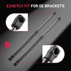 Gas Spring Shocks Struts for Pickup Truck Canopy Toolbox (2013-2024)