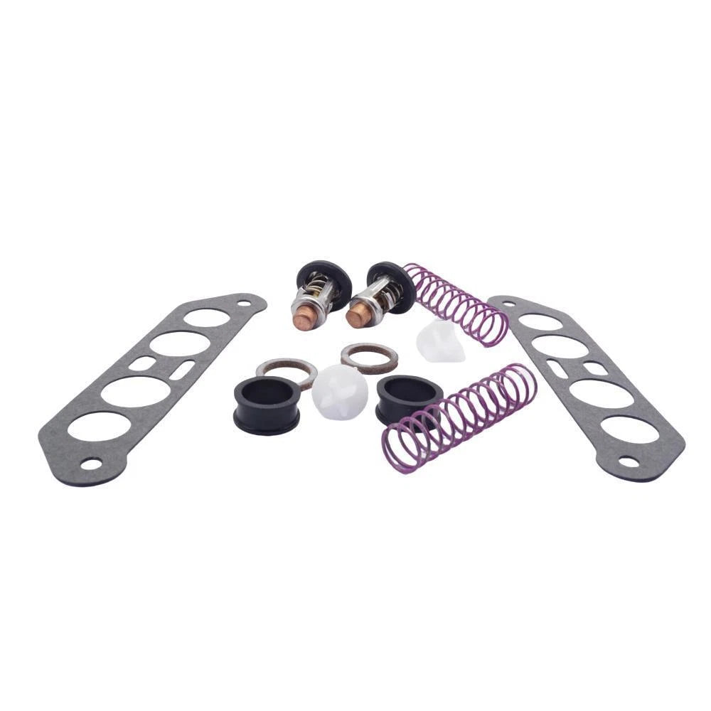 Thermostat Kit 18-3673 for Johnson Evinrude 65-115 HP V4