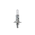 Hella H1P50 Multi-Purpose Light Bulb for Various Applications
