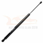 Set of 2 Liftgate Hatch Lift Support Struts for Ford Edge (2007-2014)