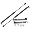 Set of 2 Front Hood Lift Supports Struts for Toyota RAV4 (2013–2018)