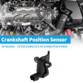 Crankshaft Position Sensor for Ford Escape (2005–2008) 1S7Z6C315BA