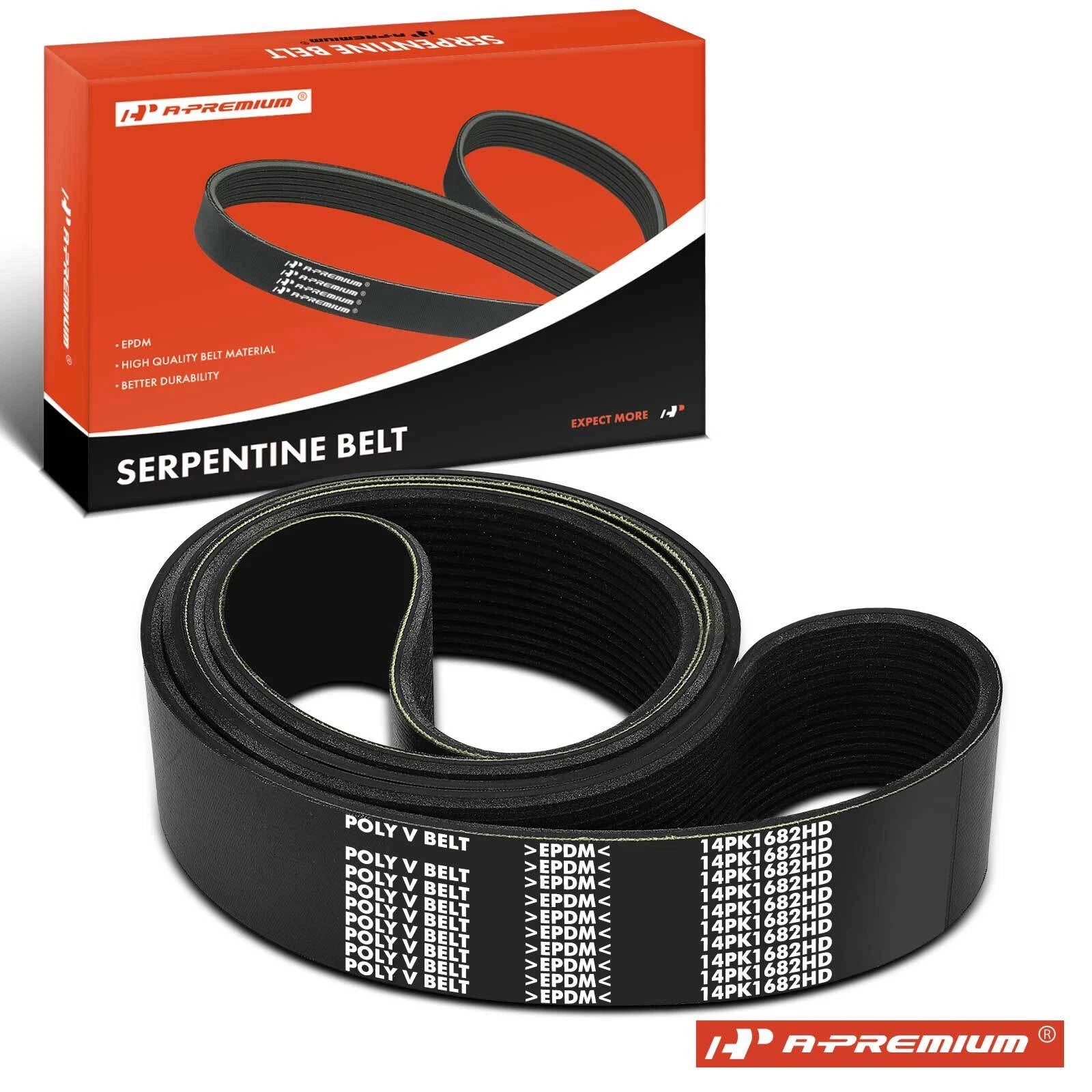 Heavy Duty Serpentine Belt for Ford LL9000 (1990–1999)