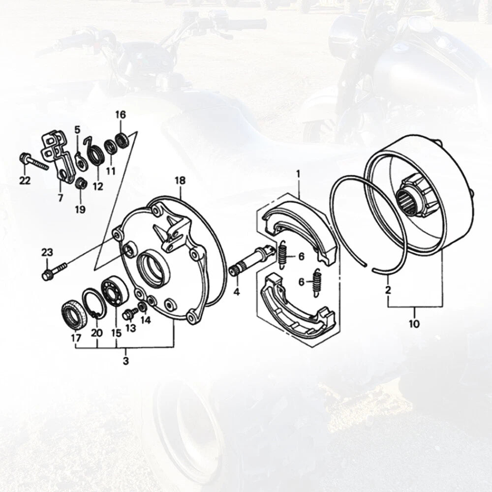 Rear Brake Drum Hub Plate Cover & Seals for Honda TRX250 (2001–2014)