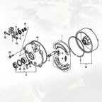 Rear Brake Drum Hub Plate Cover & Seals for Honda TRX250 (2001–2014)