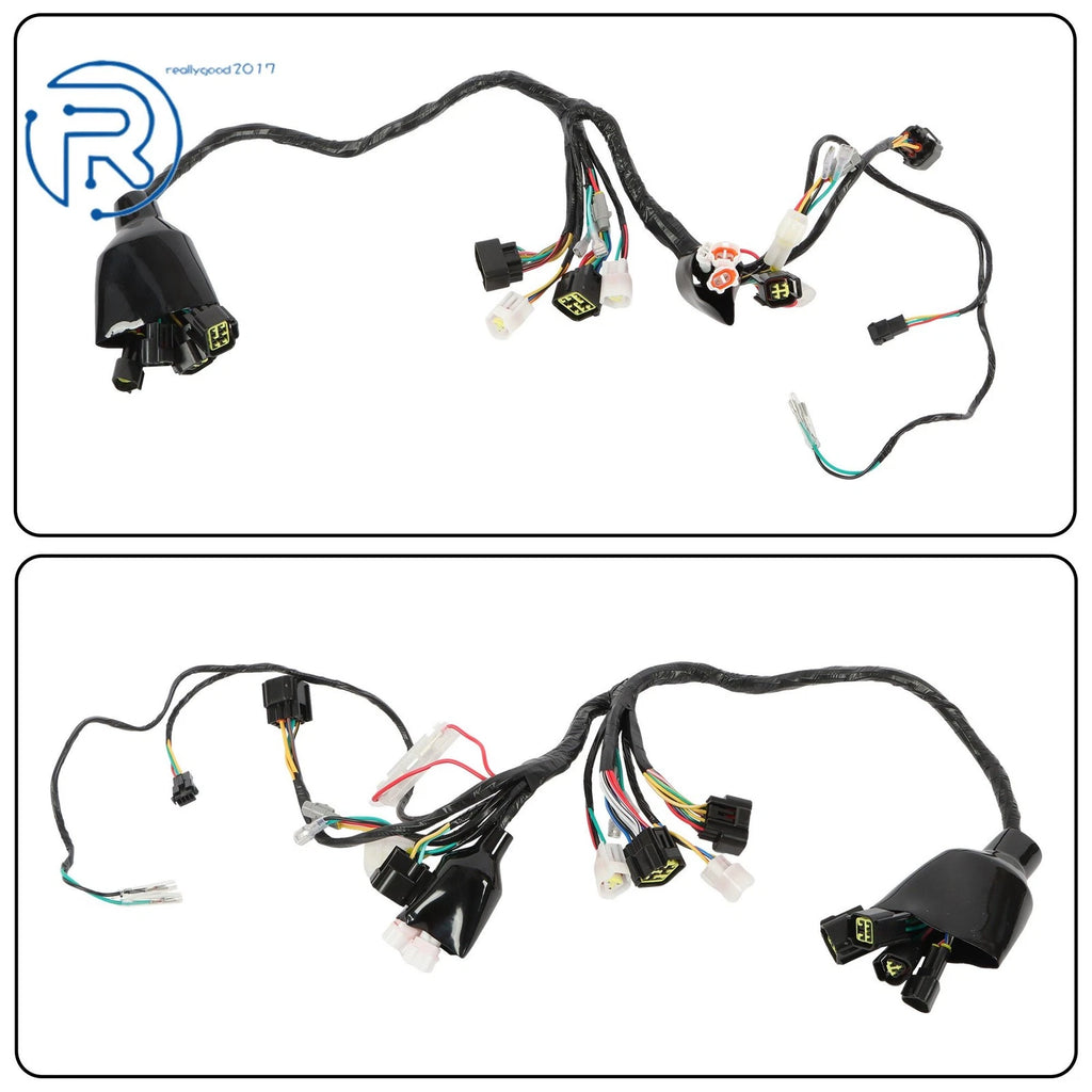 Wiring Harness for Sur-Ron Light Bee LBX (2019-2023)