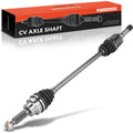 Rear CV Axle Shaft Assembly for Ford Escape (2016–2019) AWD