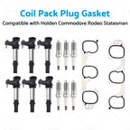 6X Coil Pack Plugs Gasket for Holden Calais Commodore Rodeo Statesman