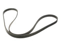 Multi Rib Belt for Suzuki Esteem 1.8L (1999–2002) XT338FG