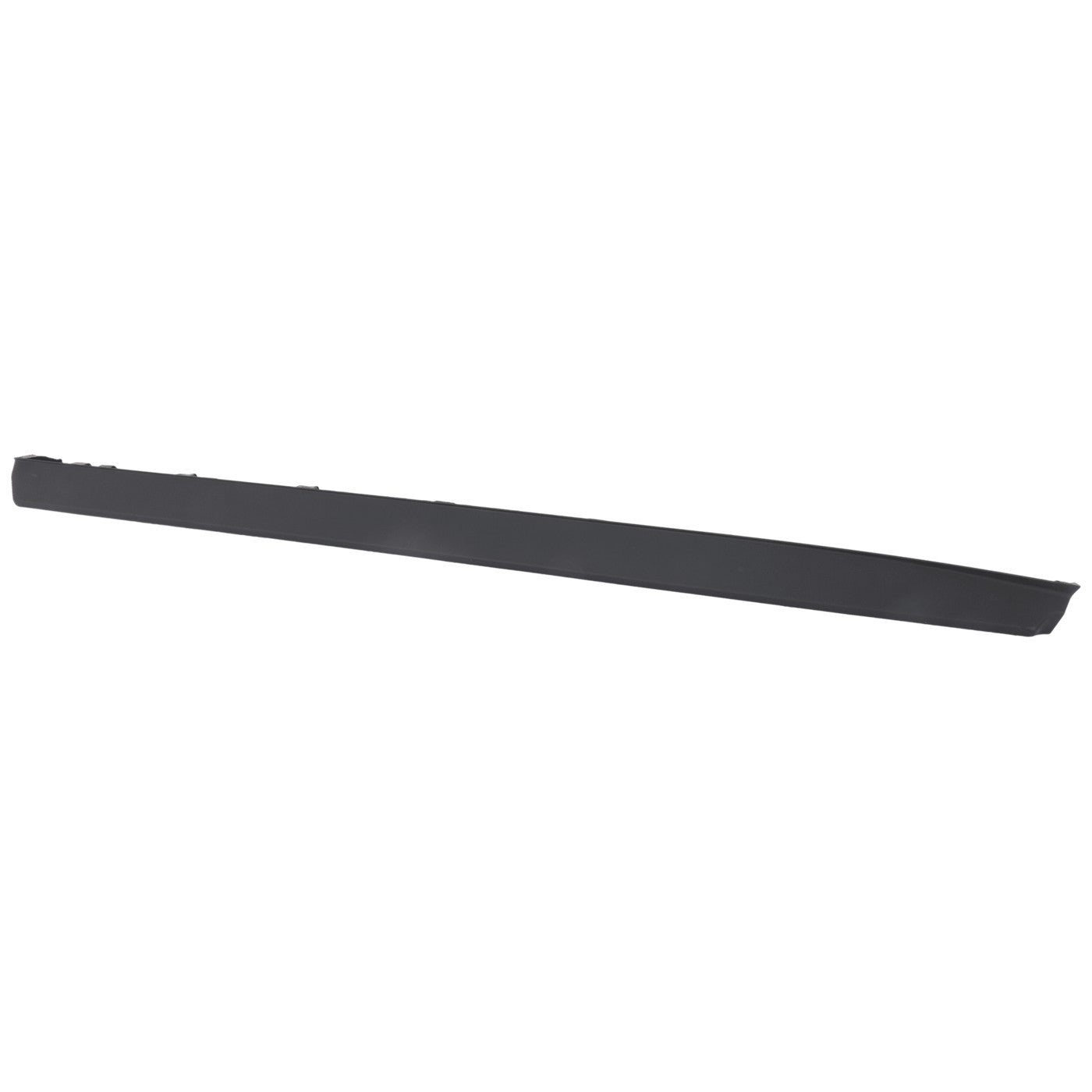 Door Molding and Beltlines Set of 2 for Driver & Passenger Side